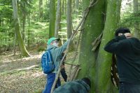 Waldtag1a-2024-14